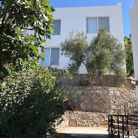 Dalaman Villa